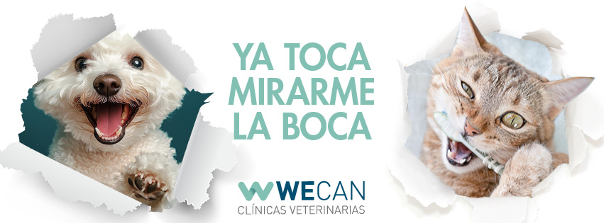 Campaña Higiene Oral Wecan 2025