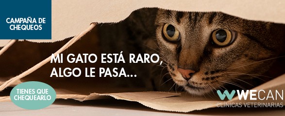 Campaña Chequeos Wecan 2025