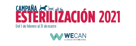 WeCan: "Campaña de esterilización 2021"
