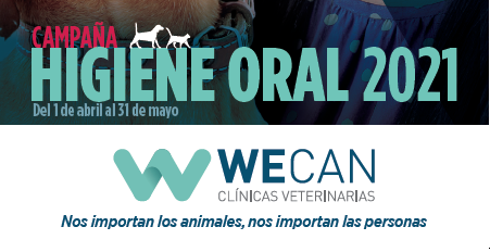 Webinar "Campaña Higiene Oral 2021 Wecan"