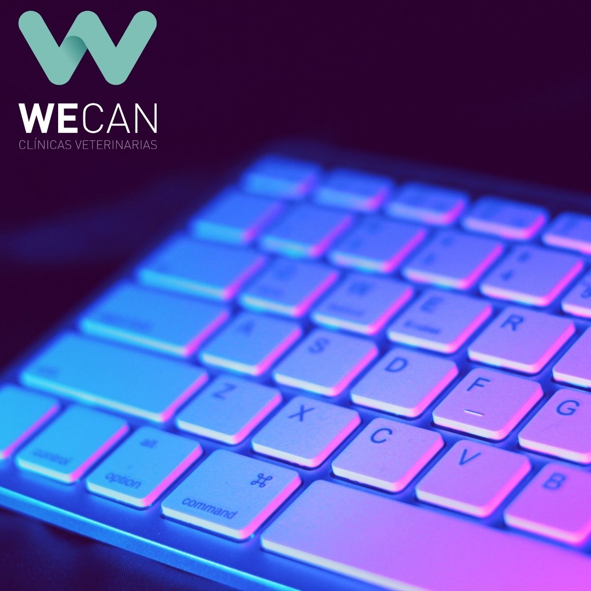 Webinar de Wecan "Programa informático Vehoclinic: Parte 1"