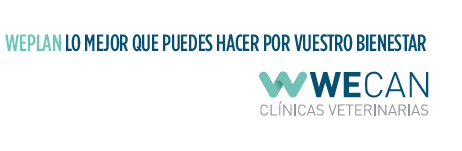 Webinar: Campaña WePlanes 2021