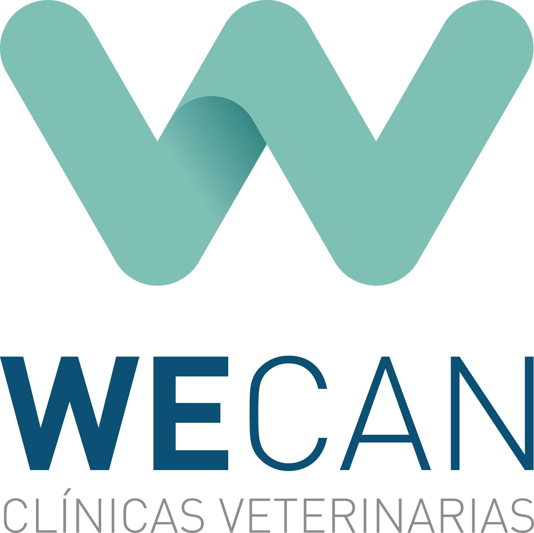 Espíritu Wecan