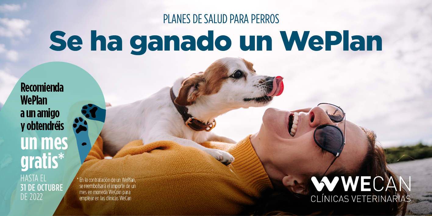 Campaña Planes de Salud WePlan 2022