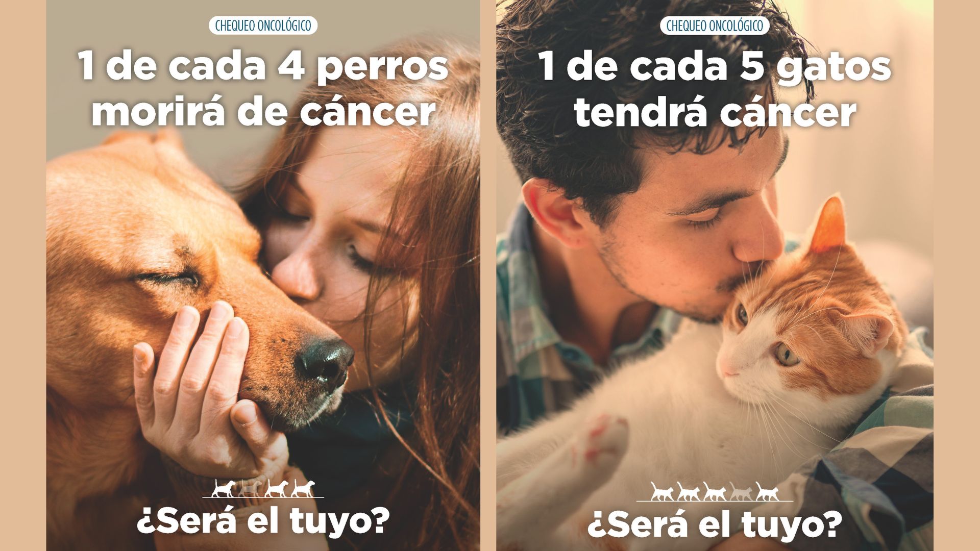Campaña Oncología Wecan