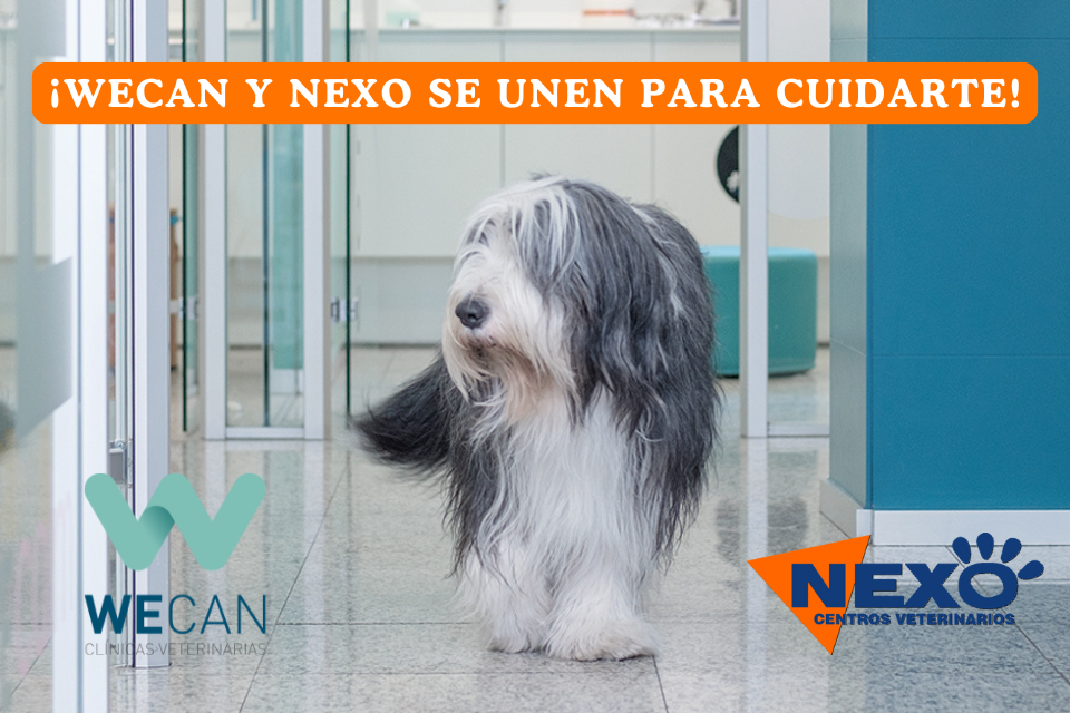 Clínicas veterinarias Wecan y Centros veterinarios Nexo, se unen