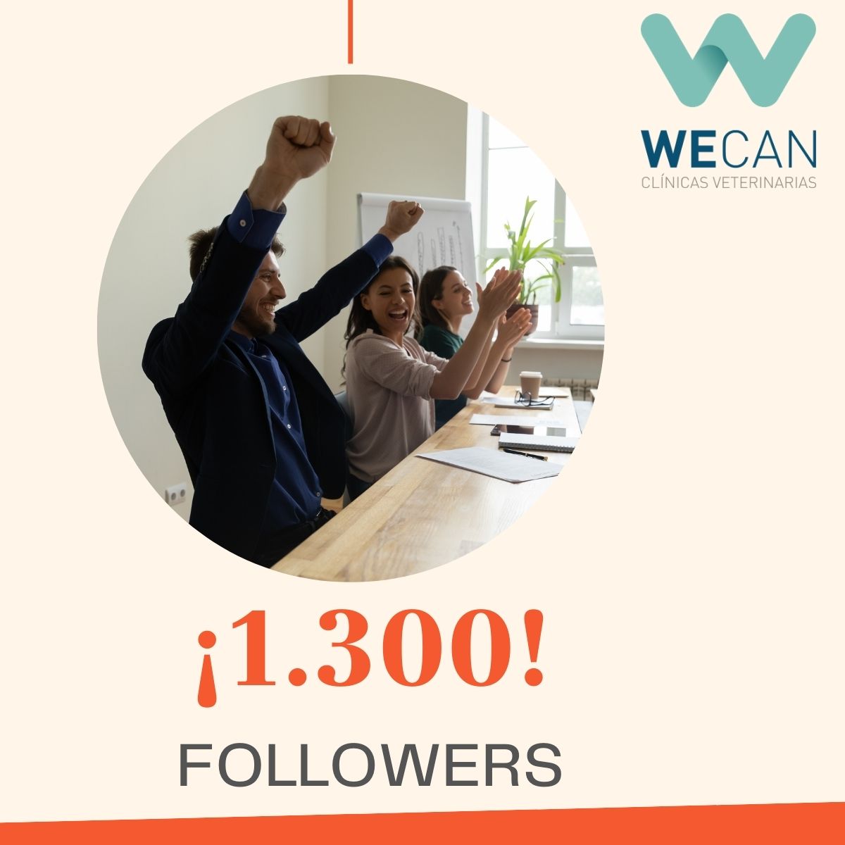 FOLLOWERS GRUPO WECAN EN LINKEDIN