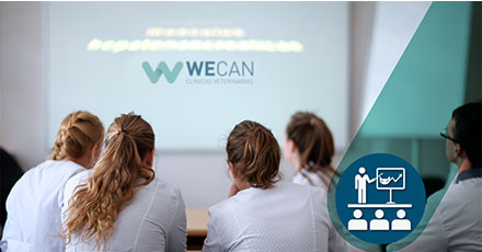 Formación clínica veterinarias Wecan